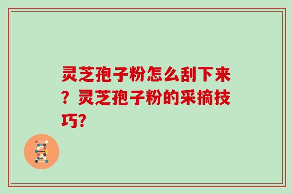灵芝孢子粉怎么刮下来？灵芝孢子粉的采摘技巧？