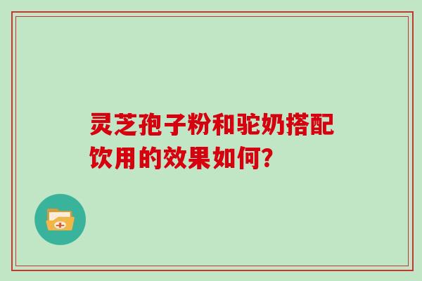 灵芝孢子粉和驼奶搭配饮用的效果如何？