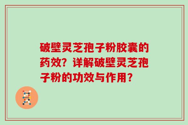 破壁灵芝孢子粉胶囊的药效？详解破壁灵芝孢子粉的功效与作用？