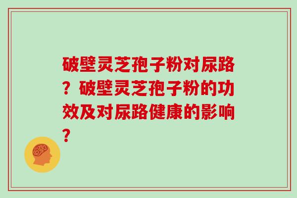 破壁灵芝孢子粉对尿路？破壁灵芝孢子粉的功效及对尿路健康的影响？