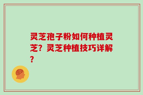 灵芝孢子粉如何种植灵芝？灵芝种植技巧详解？
