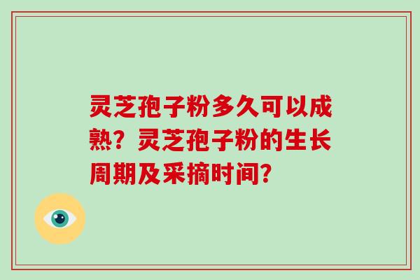 灵芝孢子粉多久可以成熟？灵芝孢子粉的生长周期及采摘时间？