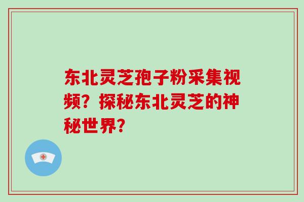 东北灵芝孢子粉采集视频？探秘东北灵芝的神秘世界？