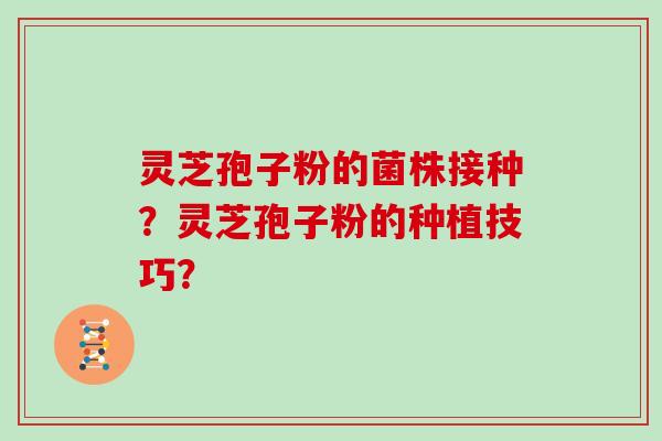 灵芝孢子粉的菌株接种？灵芝孢子粉的种植技巧？