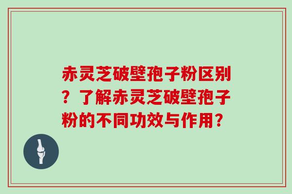 赤灵芝破壁孢子粉区别？了解赤灵芝破壁孢子粉的不同功效与作用？