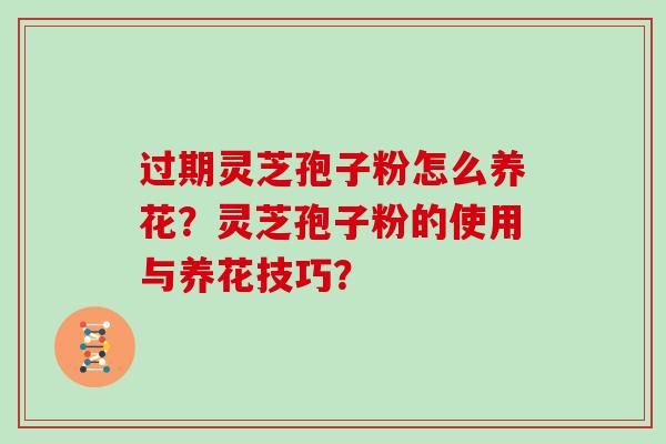 过期灵芝孢子粉怎么养花？灵芝孢子粉的使用与养花技巧？