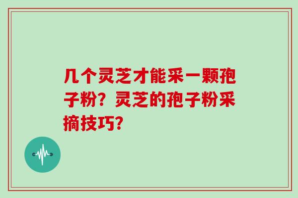 几个灵芝才能采一颗孢子粉？灵芝的孢子粉采摘技巧？