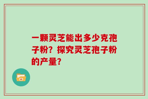 一颗灵芝能出多少克孢子粉？探究灵芝孢子粉的产量？