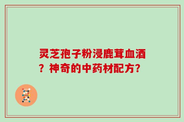 灵芝孢子粉浸鹿茸血酒？神奇的中药材配方？
