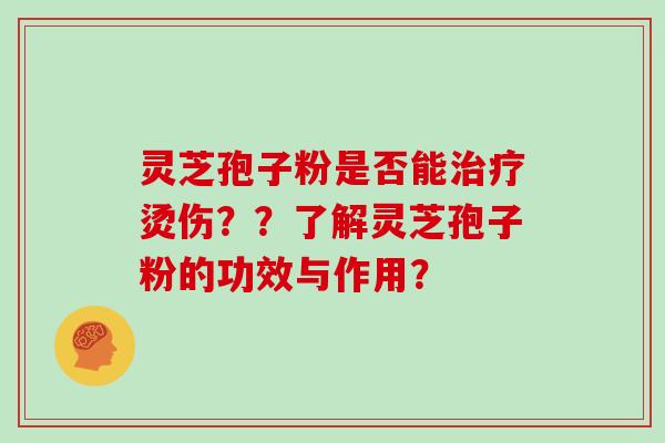 灵芝孢子粉是否能治疗烫伤？？了解灵芝孢子粉的功效与作用？