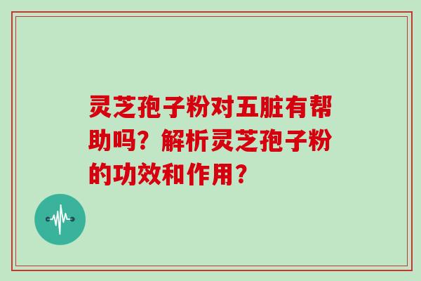 灵芝孢子粉对五脏有帮助吗？解析灵芝孢子粉的功效和作用？
