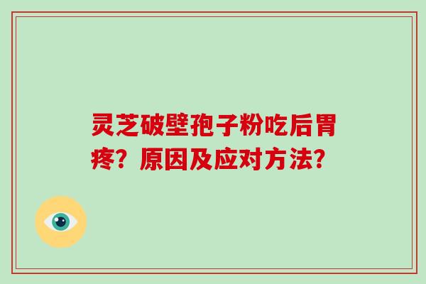 灵芝破壁孢子粉吃后胃疼？原因及应对方法？
