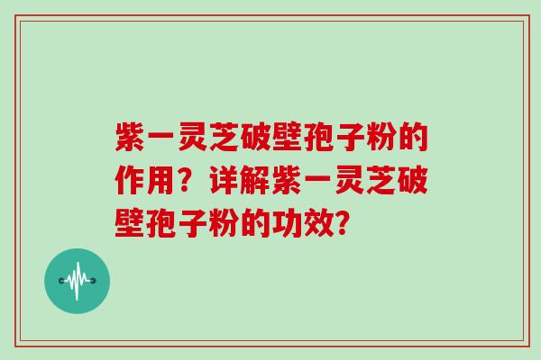 紫一灵芝破壁孢子粉的作用？详解紫一灵芝破壁孢子粉的功效？