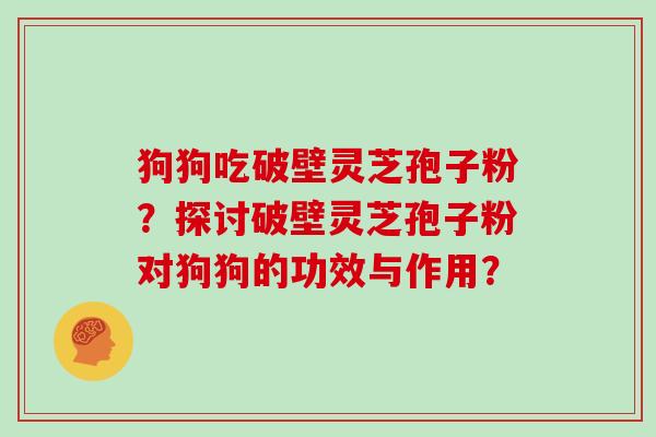 狗狗吃破壁灵芝孢子粉？探讨破壁灵芝孢子粉对狗狗的功效与作用？