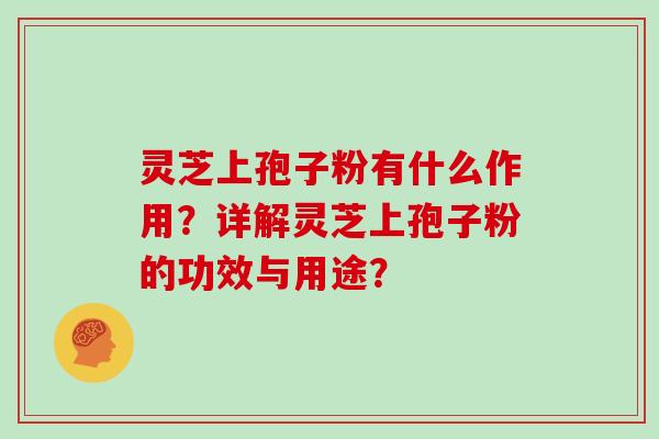 灵芝上孢子粉有什么作用？详解灵芝上孢子粉的功效与用途？