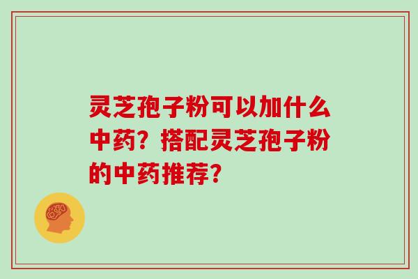 灵芝孢子粉可以加什么中药？搭配灵芝孢子粉的中药推荐？