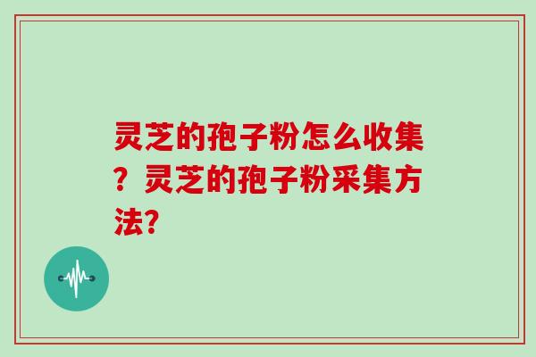 灵芝的孢子粉怎么收集？灵芝的孢子粉采集方法？