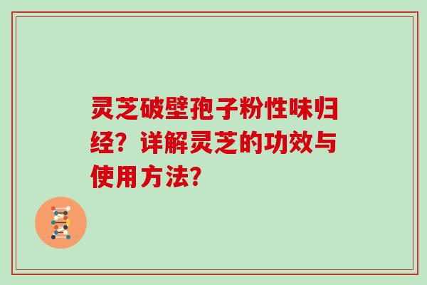 灵芝破壁孢子粉性味归经？详解灵芝的功效与使用方法？