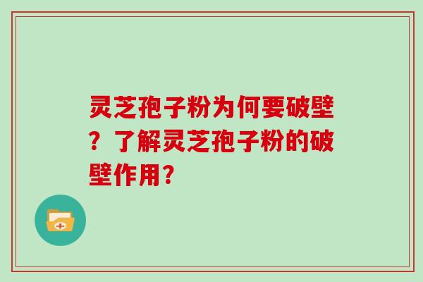 灵芝孢子粉为何要破壁?了解灵芝孢子粉的破壁作用?-第1张图片-灵芝大师 灵芝孢子粉为何要破壁?了解灵芝孢子粉的破壁作用?-第1张图片-灵芝大师