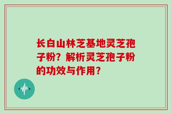长白山林芝基地灵芝孢子粉？解析灵芝孢子粉的功效与作用？