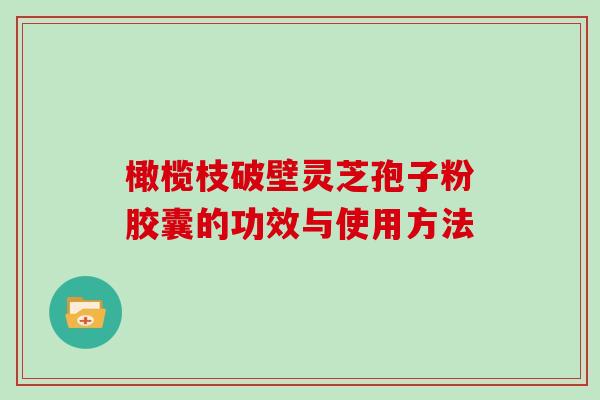 橄榄枝破壁灵芝孢子粉胶囊的功效与使用方法