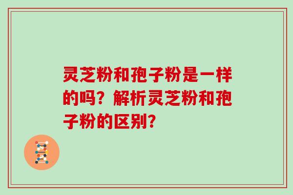 灵芝粉和孢子粉是一样的吗？解析灵芝粉和孢子粉的区别？