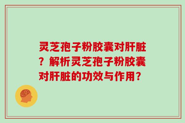 灵芝孢子粉胶囊对肝脏?解析灵芝孢子粉胶囊对肝脏的功效与作用?-第1张图片-灵芝大师 灵芝孢子粉胶囊对肝脏?解析灵芝孢子粉胶囊对肝脏的功效与作用?-第1张图片-灵芝大师