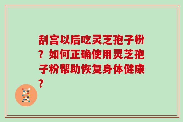 刮宫以后吃灵芝孢子粉？如何正确使用灵芝孢子粉帮助恢复身体健康？