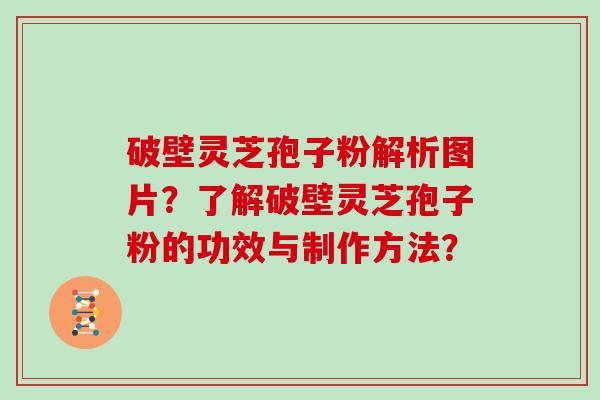 破壁灵芝孢子粉解析图片？了解破壁灵芝孢子粉的功效与制作方法？