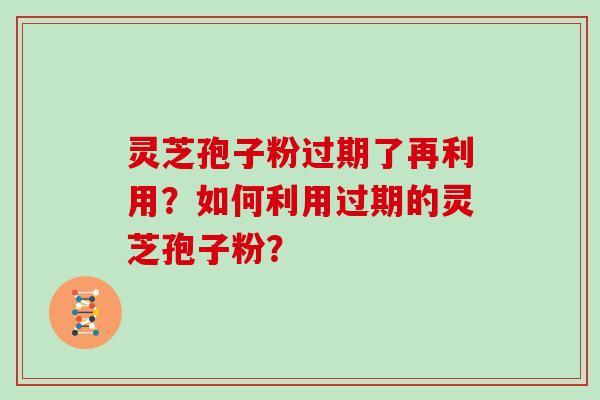 灵芝孢子粉过期了再利用？如何利用过期的灵芝孢子粉？