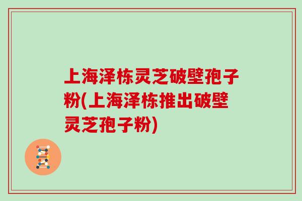 上海泽栋灵芝破壁孢子粉(上海泽栋推出破壁灵芝孢子粉)