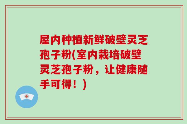 屋内种植新鲜破壁灵芝孢子粉(室内栽培破壁灵芝孢子粉，让健康随手可得！)-第1张图片-灵芝大师