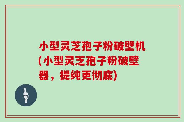 小型灵芝孢子粉破壁机(小型灵芝孢子粉破壁器，提纯更彻底)
