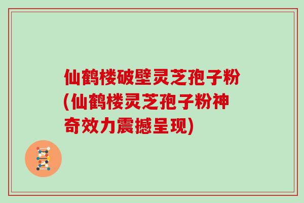 仙鹤楼破壁灵芝孢子粉(仙鹤楼灵芝孢子粉神奇效力震撼呈现)
