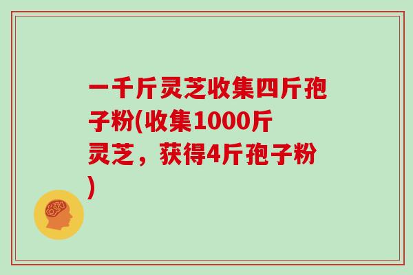 一千斤灵芝收集四斤孢子粉(收集1000斤灵芝，获得4斤孢子粉)