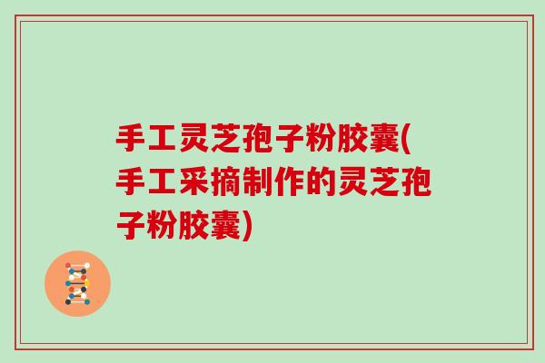 手工灵芝孢子粉胶囊(手工采摘制作的灵芝孢子粉胶囊)