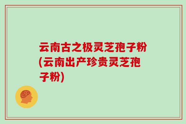 云南古之极灵芝孢子粉(云南出产珍贵灵芝孢子粉)