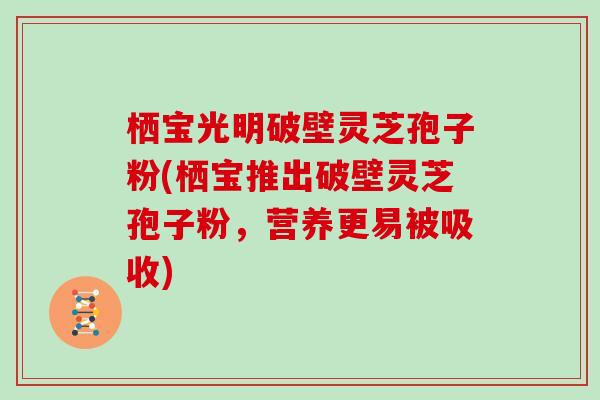 栖宝光明破壁灵芝孢子粉(栖宝推出破壁灵芝孢子粉，营养更易被吸收)