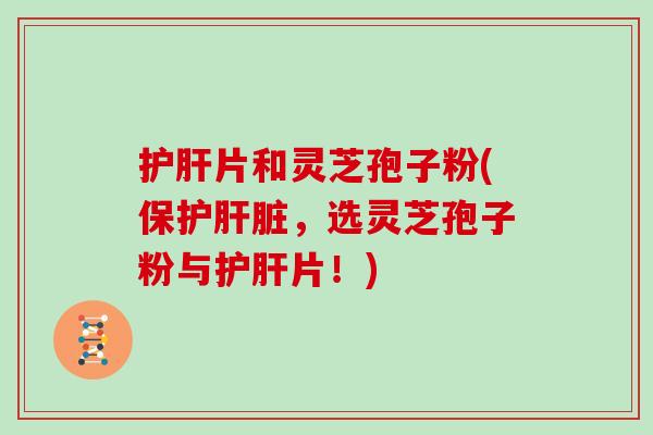 护肝片和灵芝孢子粉(保护肝脏，选灵芝孢子粉与护肝片！)