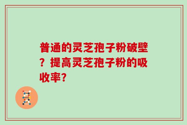 普通的灵芝孢子粉破壁？提高灵芝孢子粉的吸收率？