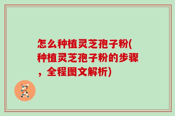 怎么种植灵芝孢子粉(种植灵芝孢子粉的步骤，全程图文解析)