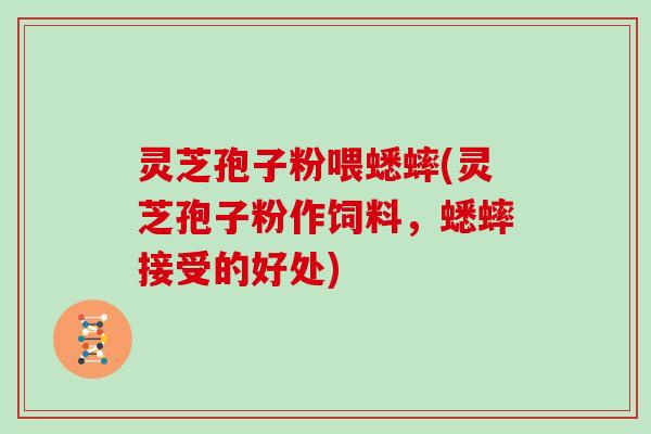 灵芝孢子粉喂蟋蟀(灵芝孢子粉作饲料，蟋蟀接受的好处)