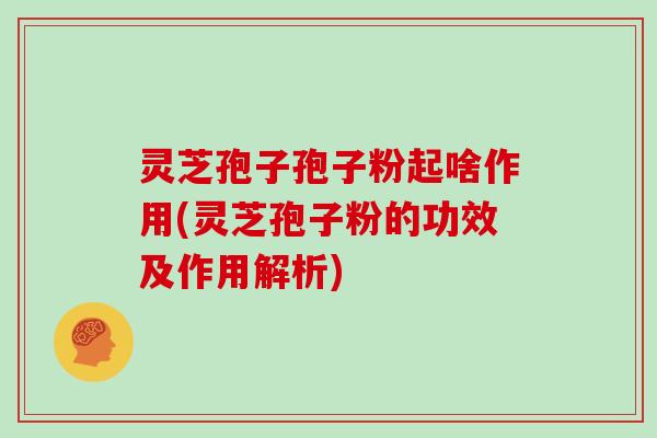 灵芝孢子孢子粉起啥作用(灵芝孢子粉的功效及作用解析)