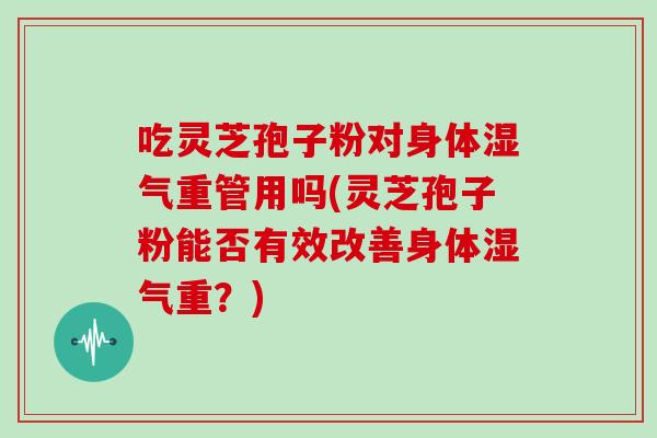 吃灵芝孢子粉对身体湿气重管用吗(灵芝孢子粉能否有效改善身体湿气重？)