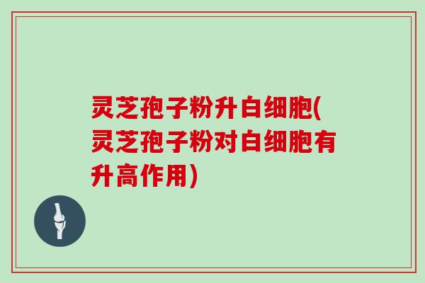 灵芝孢子粉升白细胞(灵芝孢子粉对白细胞有升高作用)