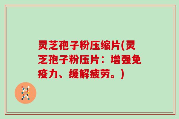 灵芝孢子粉压缩片(灵芝孢子粉压片：增强免疫力、缓解疲劳。)