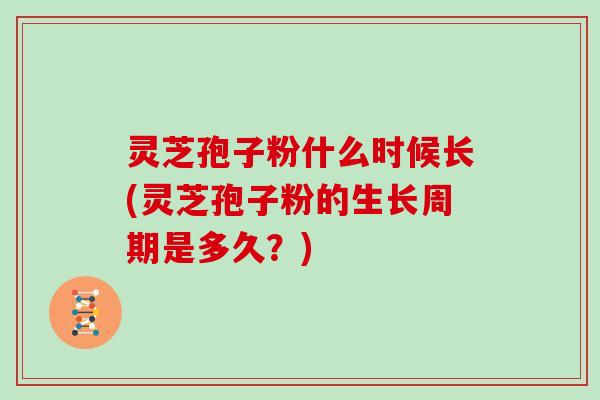 灵芝孢子粉什么时候长(灵芝孢子粉的生长周期是多久？)
