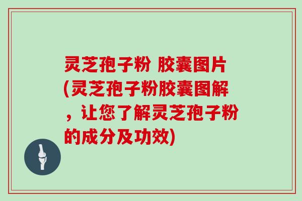 灵芝孢子粉 胶囊图片(灵芝孢子粉胶囊图解，让您了解灵芝孢子粉的成分及功效)