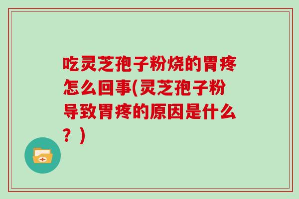 吃灵芝孢子粉烧的胃疼怎么回事(灵芝孢子粉导致胃疼的原因是什么？)