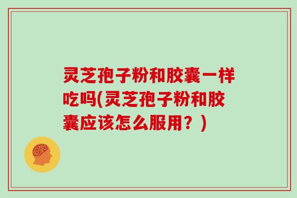 灵芝孢子粉和胶囊一样吃吗(灵芝孢子粉和胶囊应该怎么服用?)-第1张图片-灵芝大师 灵芝孢子粉和胶囊一样吃吗(灵芝孢子粉和胶囊应该怎么服用?)-第1张图片-灵芝大师